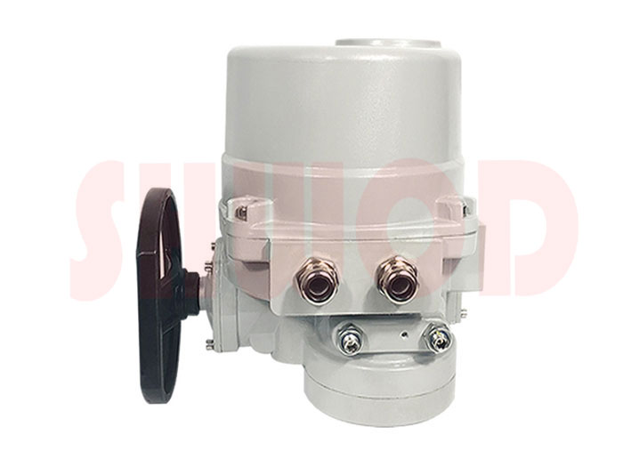 角行程電動執(zhí)行器